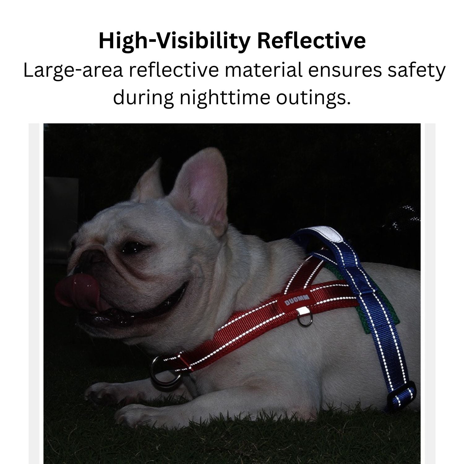 French Bulldog Frenfit Frenchie Harness And Leash Set – No Pull Y