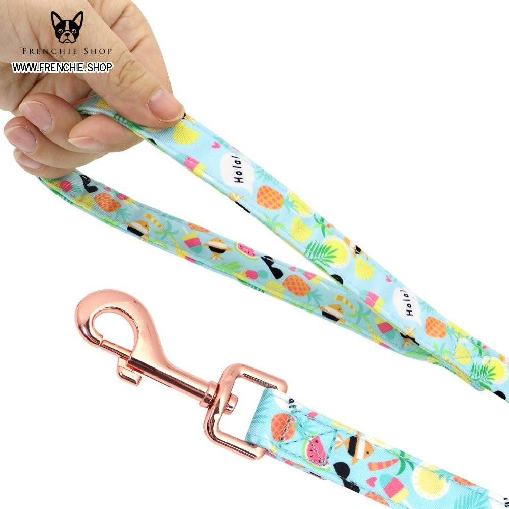 Fruit - Premium Harness For French Bulldog (w321) Paw Protection