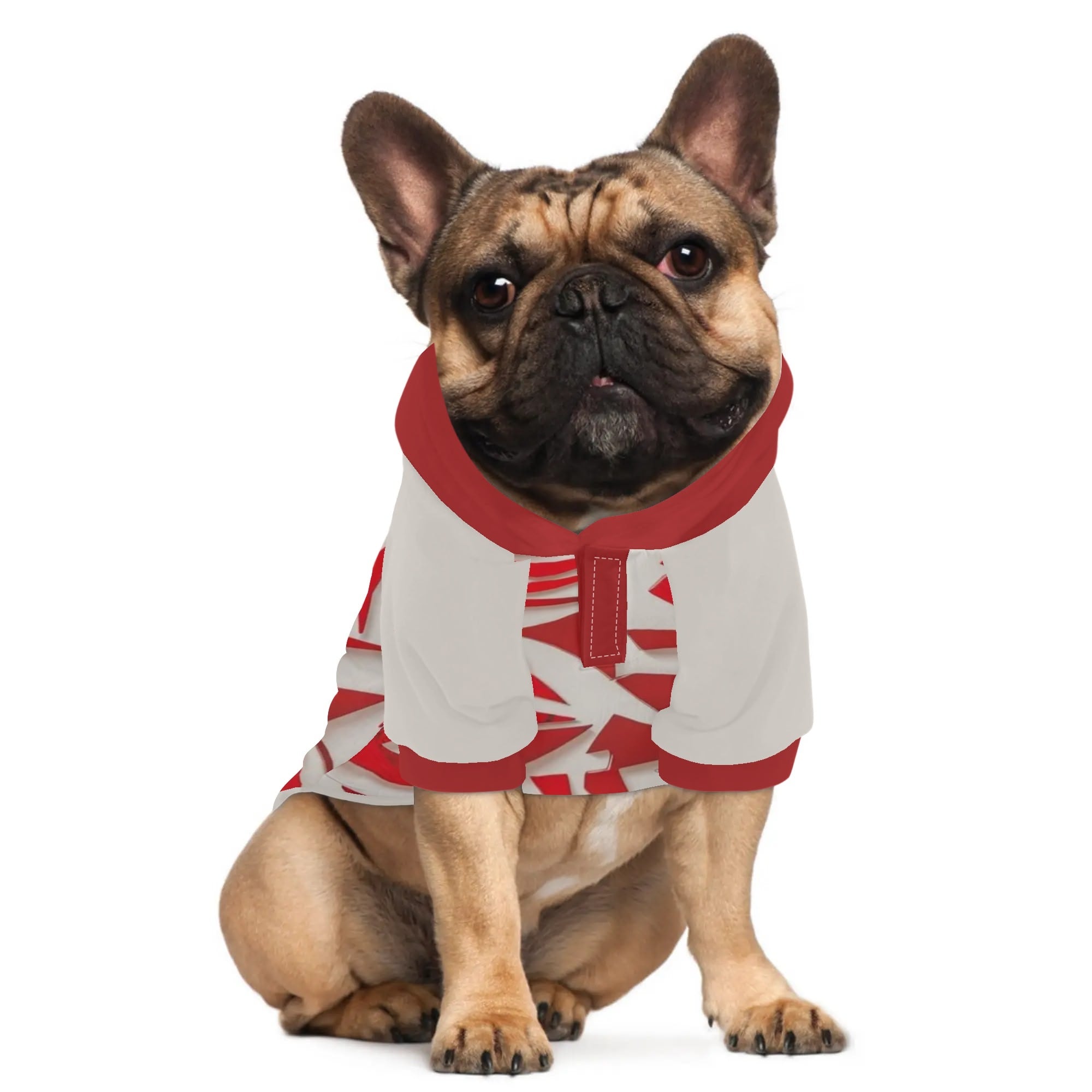 French Bulldog Finn Hoodies For French Bulldog | Frenchie Shop Original Durable Dog Item