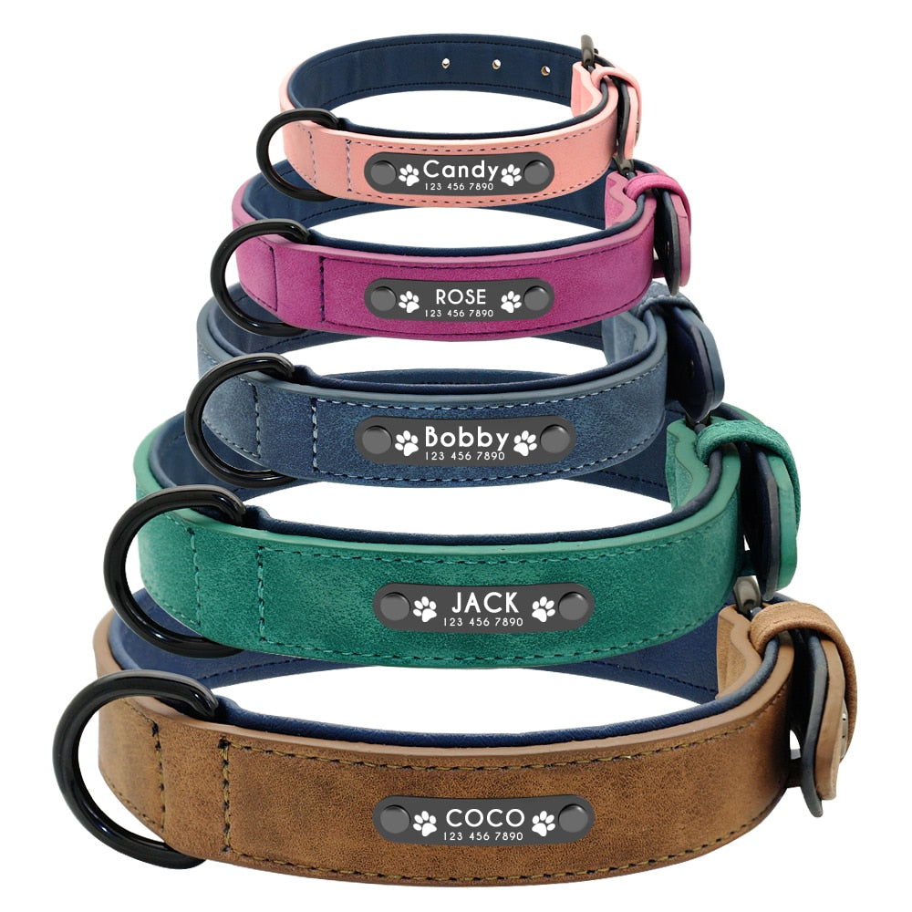 French Bulldog Personalised Collar With Leash Durable Dog Accessory