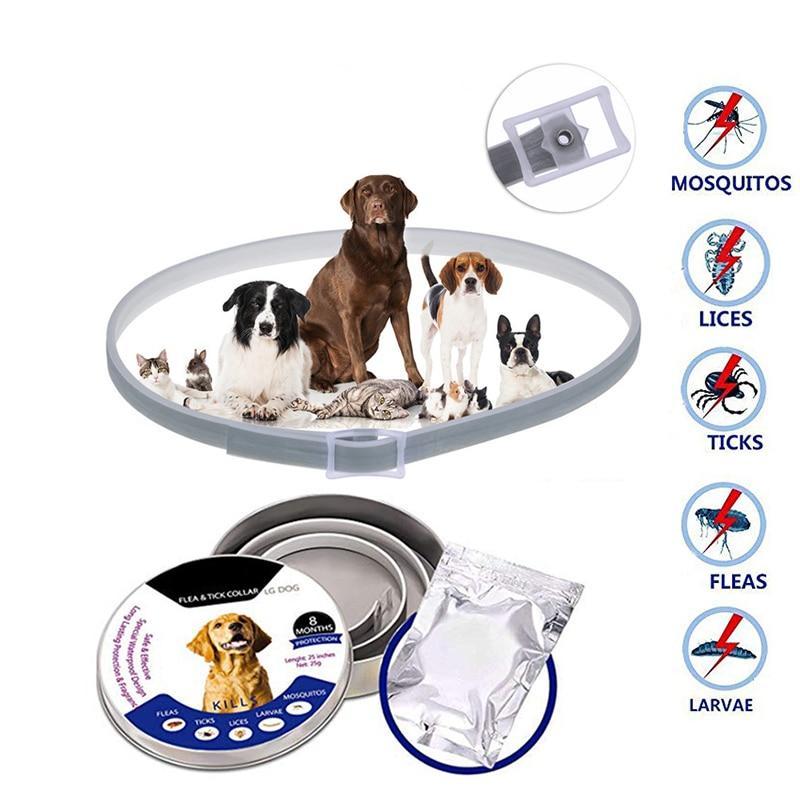 French Bulldog Defeax ™ Pro Guard Flea And Tick For Frenchies Durable Dog Item