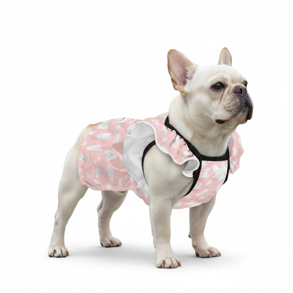French Bulldog Gigi French Bulldog Dresses For Females Durable Dog Item