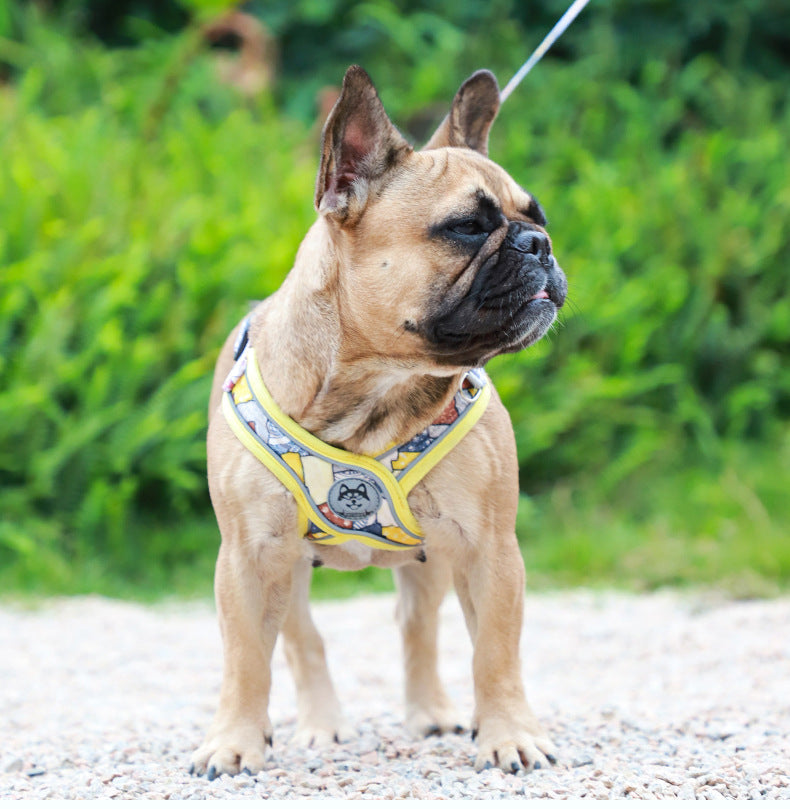 Adjustable Harness And Leash Set For Frenchie Pups | Breed-optimized