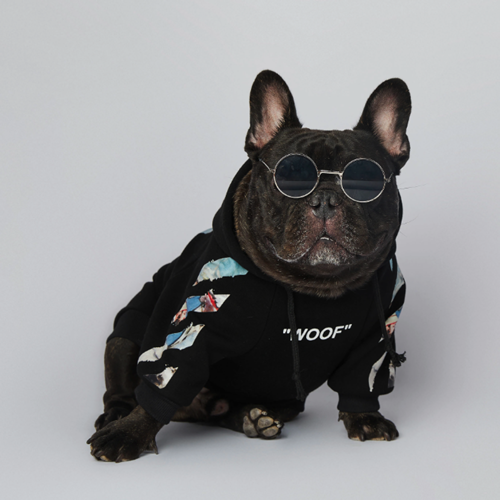 Premium Frenchdot™ - French Bulldog Woof Hoodie V4 for French Durable