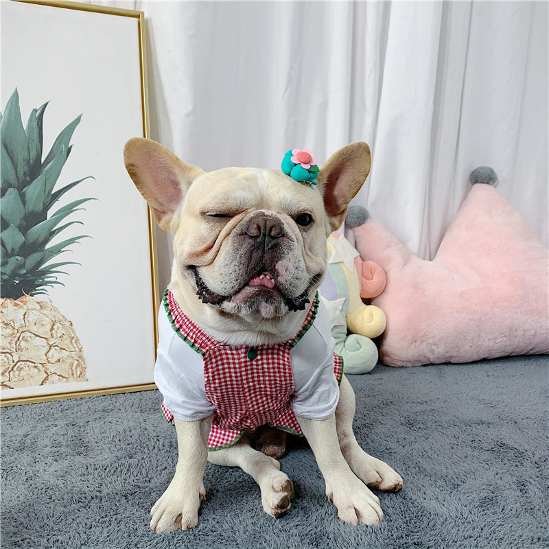 French Bulldog Queen Vest Skirt Frenchie Summer Dress (w318) Durable Dog Item