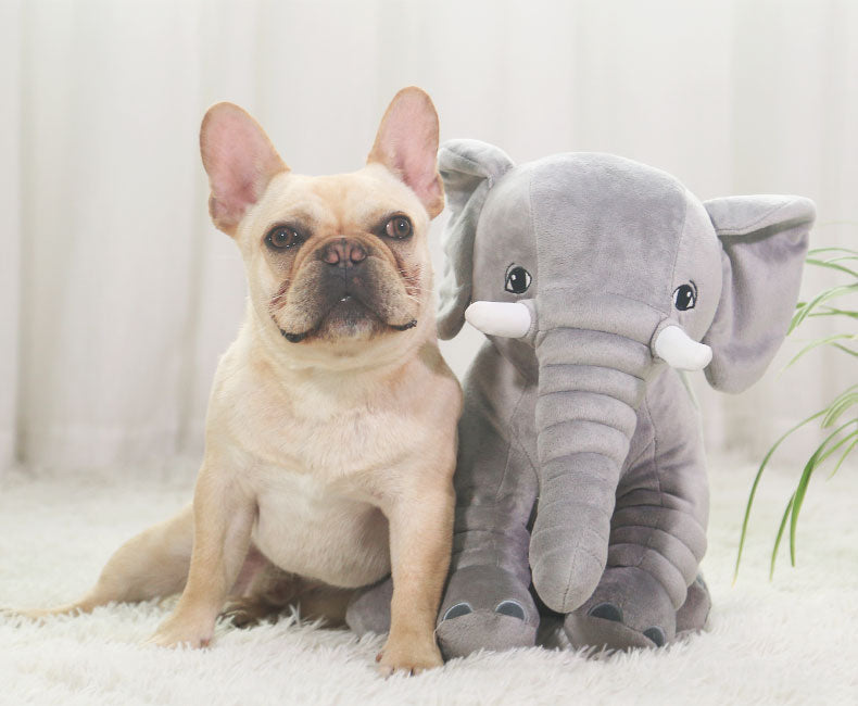 French Bulldog Buddy Pillow Cute Frenchie Essential