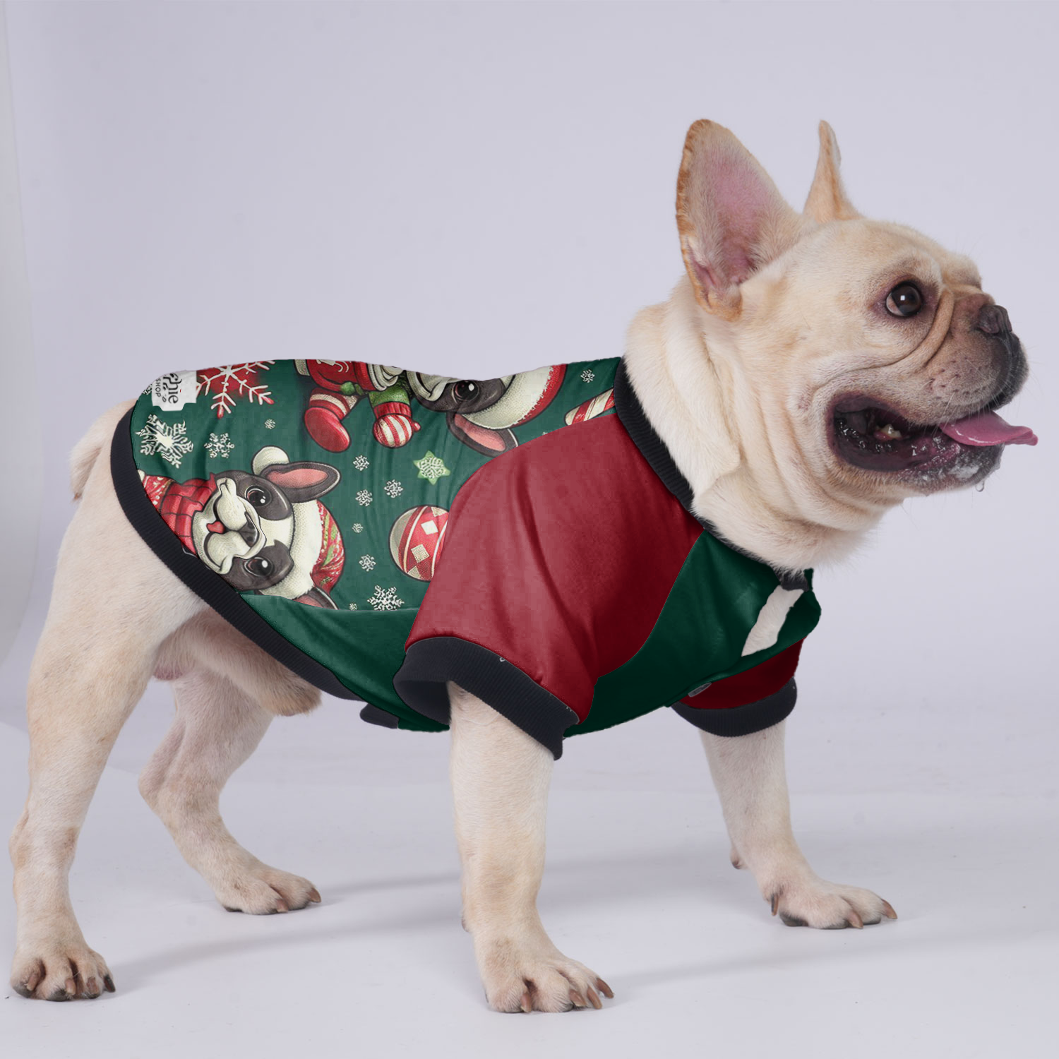 Trendy Cooper - Jacket For French Bulldog for Dog Owners