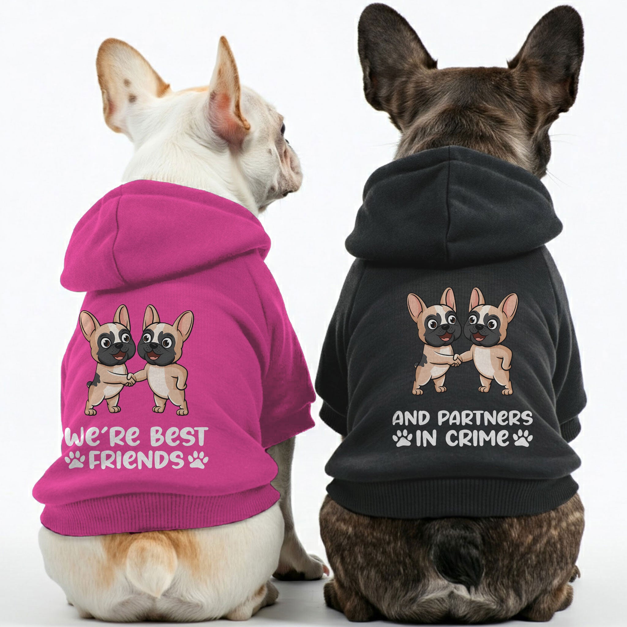 We’re best friends and And partners in crime - Matching French Bulldog Hoodies – Stylish, Cozy & Personalized!
