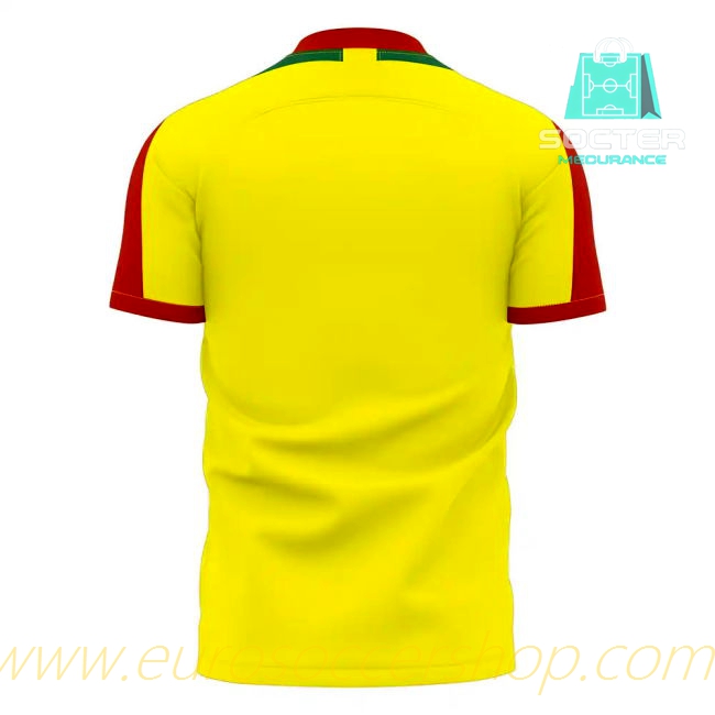 2025/26 Campaign Benin Home Football Shirt Women's