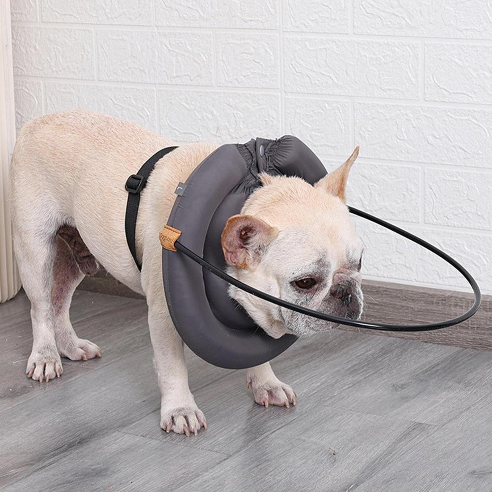French Bulldogs - Warm Secure & Supportive Walking Aid For Frenchie Pups