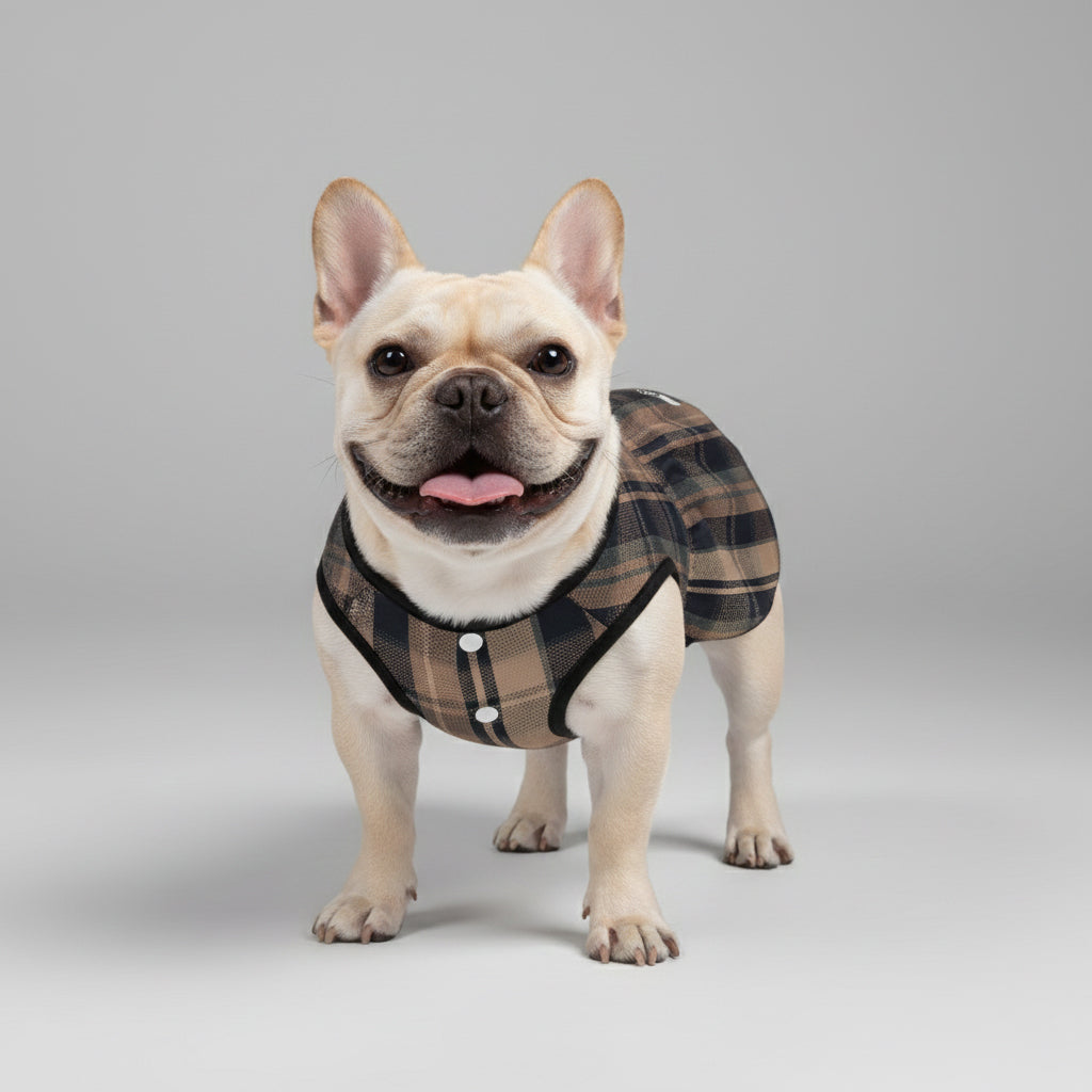 Ava - French Bulldog Dresses for Females