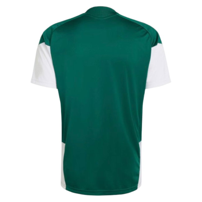 2026-2027 Italy Training Jersey (Green)