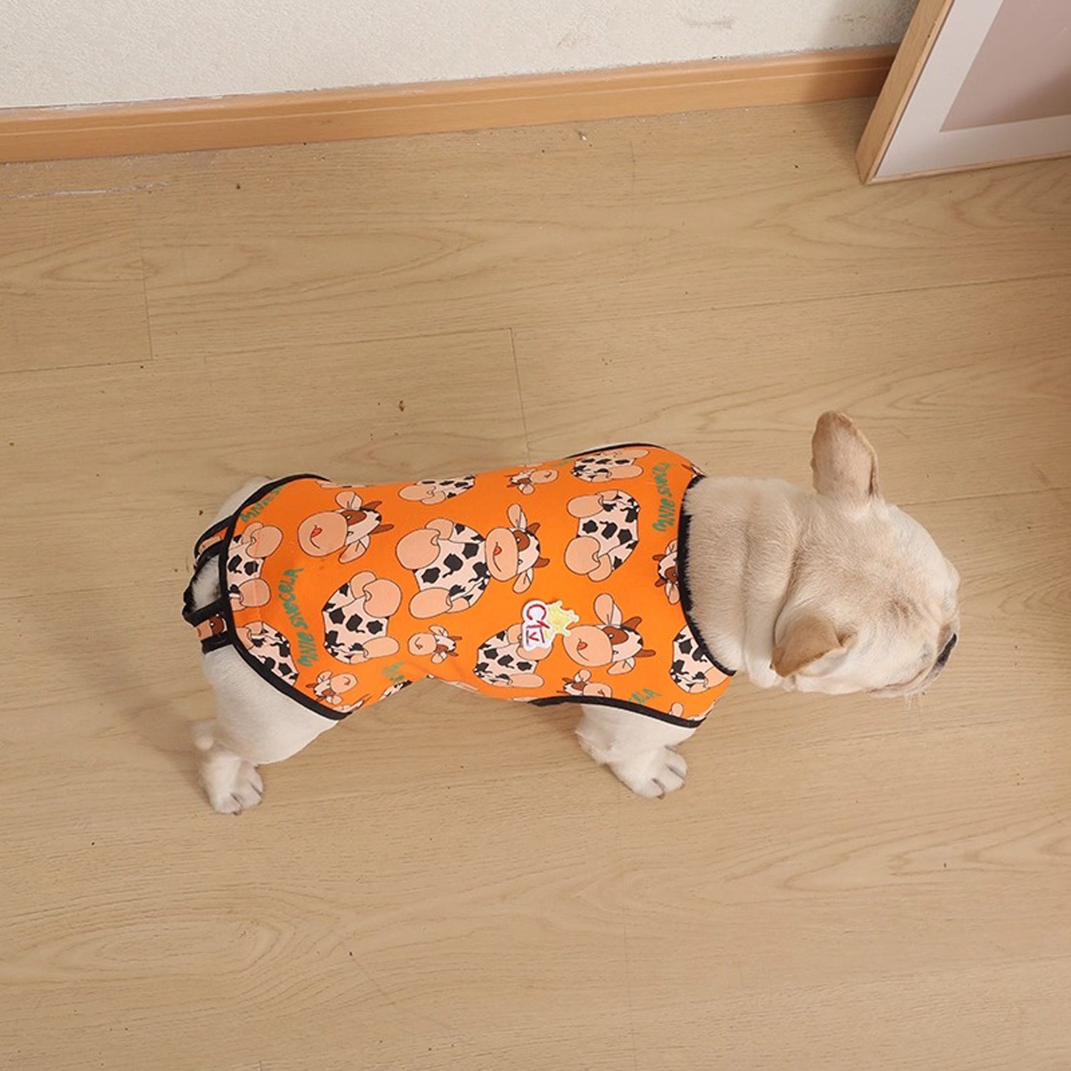 PawJoy French Bulldog Physiological Pants – Cute Comfy Cotton Pants