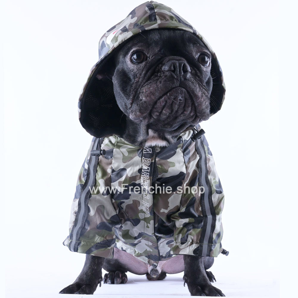 High-Quality The Ultimate Winter Jacket For Frenchies (ws33) for Casual