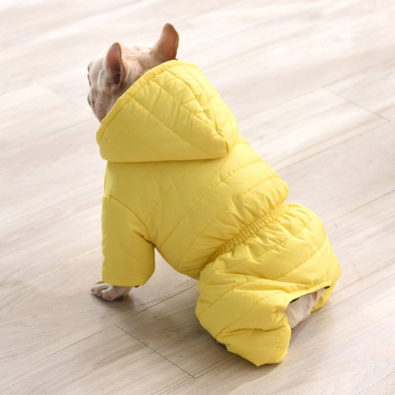 Snow Coat For French Bulldogs Winter Essential For Frenchie Pups