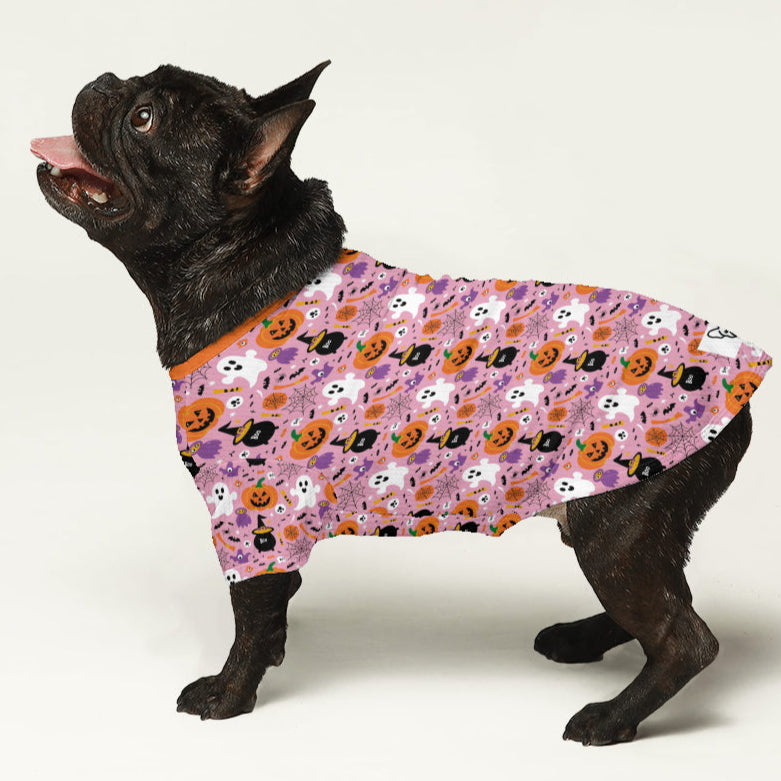 Mickey - Wool Sweater for Frenchies