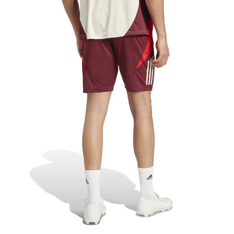 Bayern München Training Shorts Tiro 24 Eu Shadow Red/red