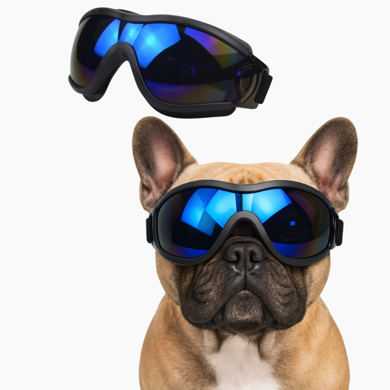 French Bulldog Pawvue French Bulldog Goggles – Windproof Uv Protection