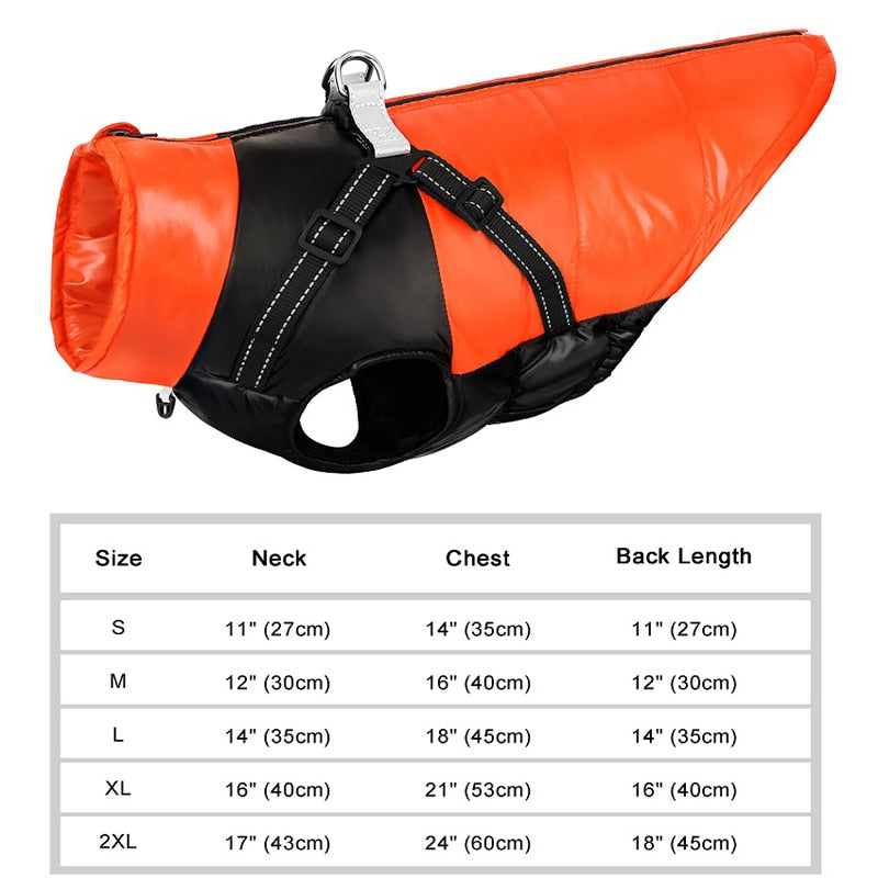 Snuggles Frenchie Warm Reflective Winter Jacket V1 Summer Wear