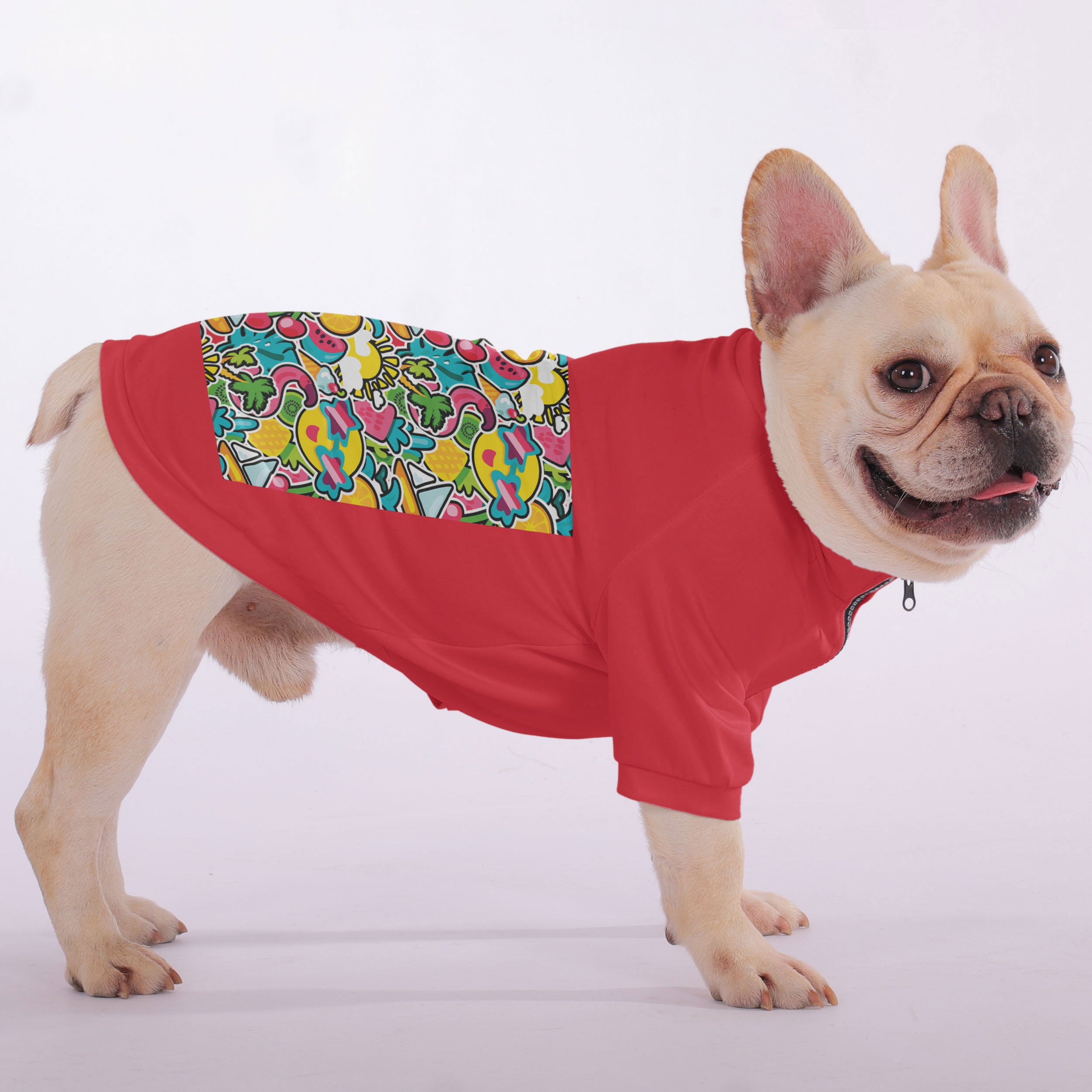 Street-Ready Apollo - Snuggly Zip-up Sweatshirt For French Bulldogs f...
