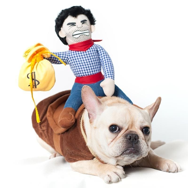 Cowboy - Warm Costume For French Bulldog (ws222) Indoor Use