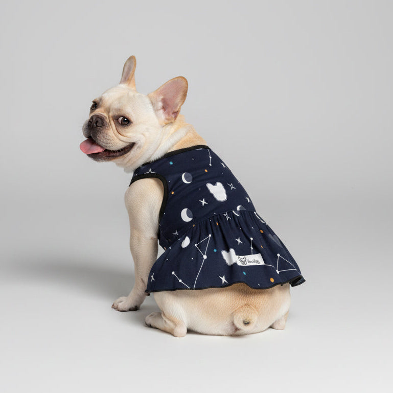 Stella - French Bulldog Dresses for Females