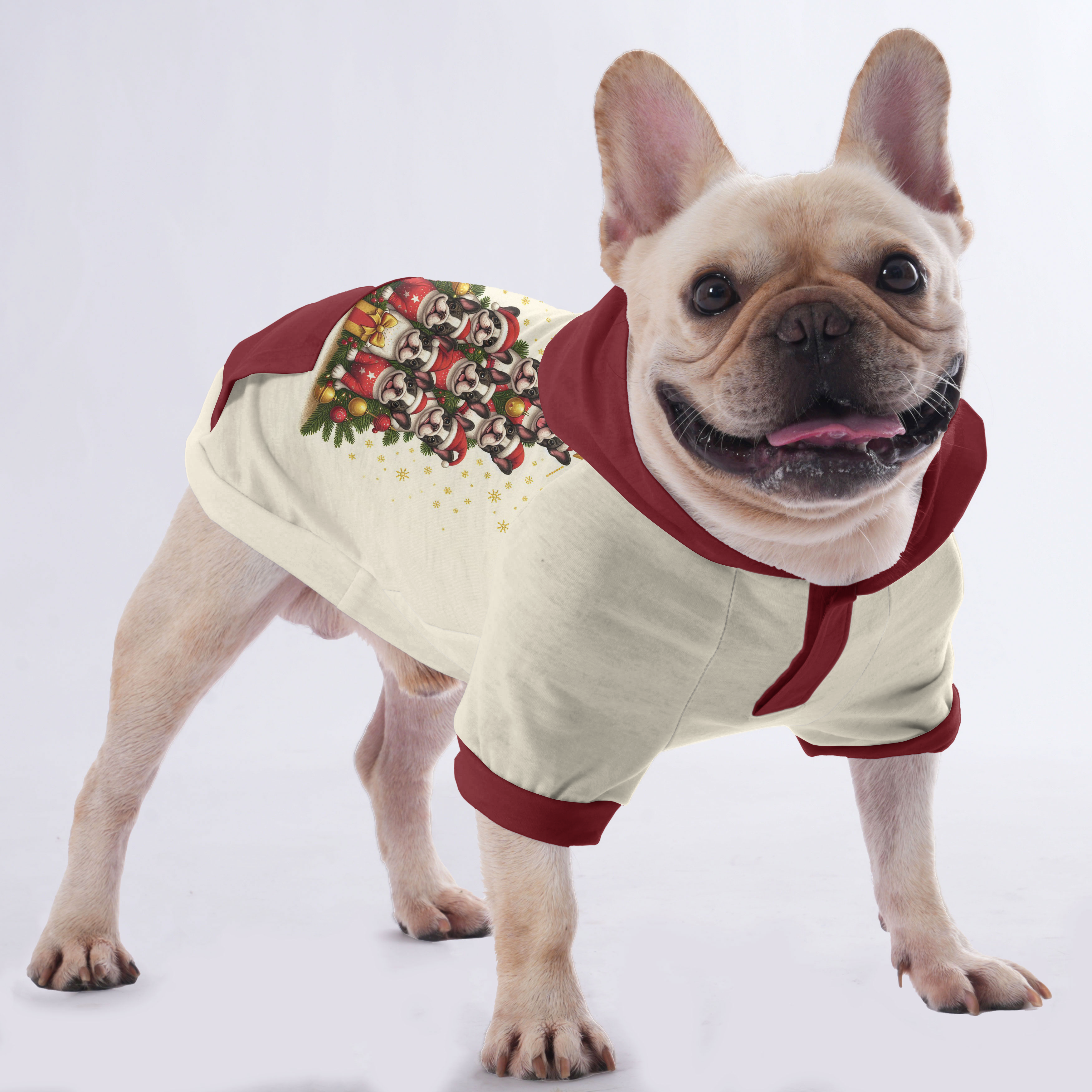 Sissy - Hoodies for French Bulldog | Frenchie Shop Original
