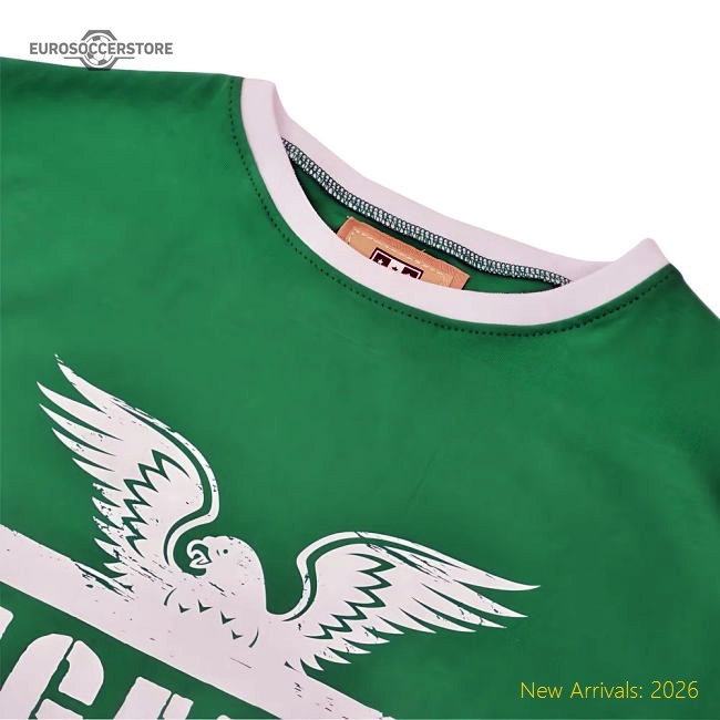 Super Eagles T-shirt - Greenwhite Ringer - World Cup Edition