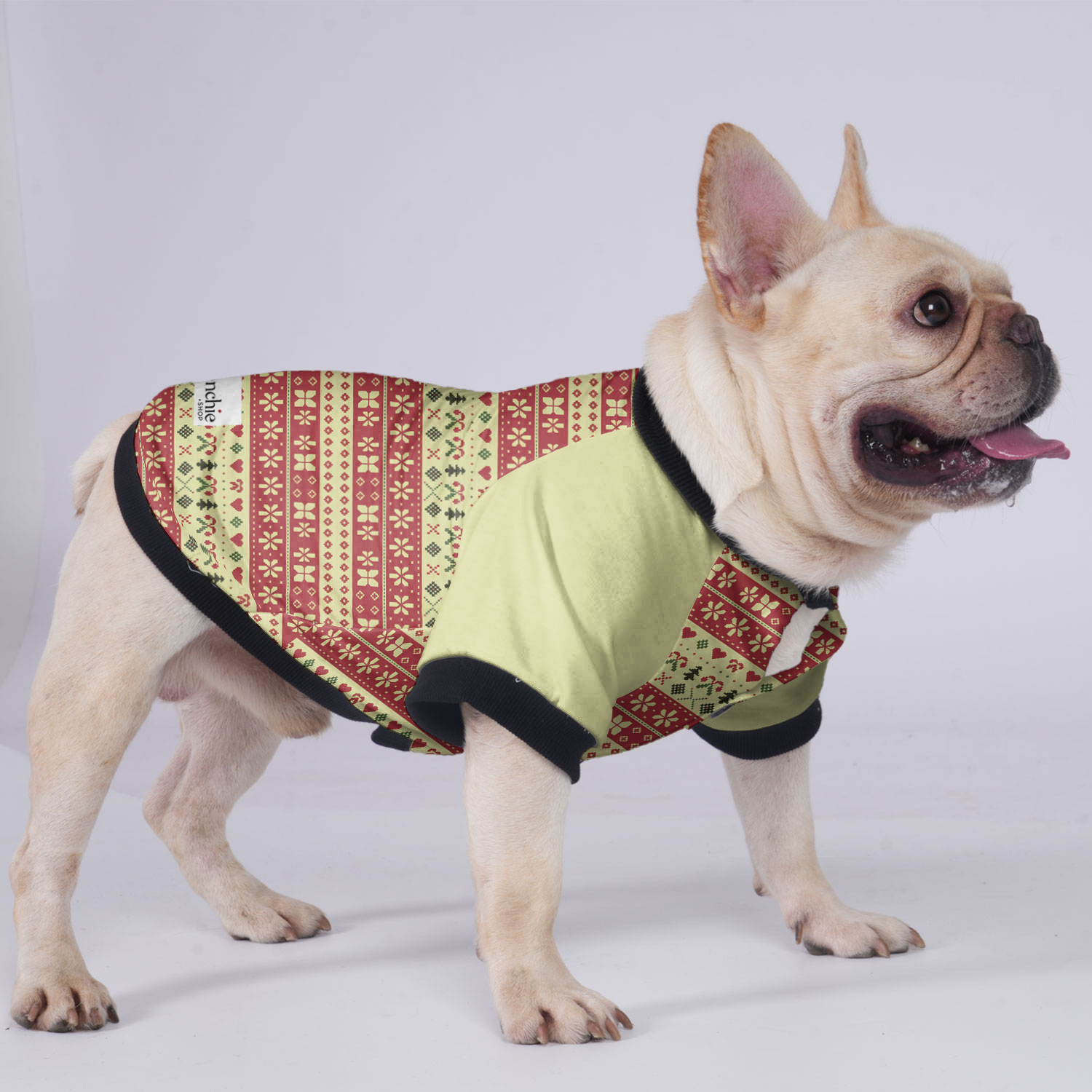 Durable Remi - Jacket For French Bulldog for Fashion Lovers Premium