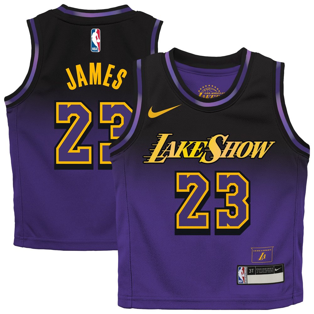 Jersey Los Angeles Lakers LeBron James23 Purple - City Edition