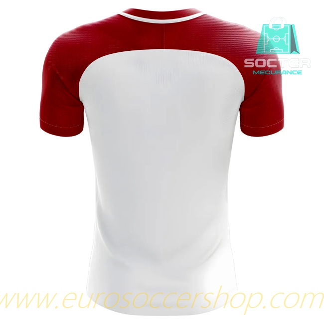 Fan Edition 2025-2026 Season Indonesia Home Shirt Youth