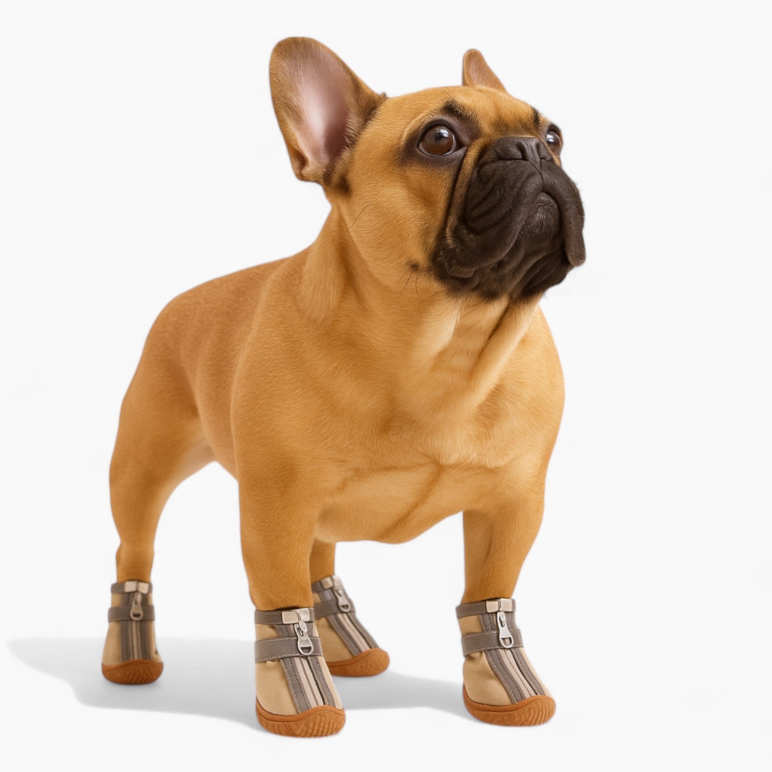 Rainpaw French Bulldog Shoes – Waterproof Anti-Skid Walking Boots
