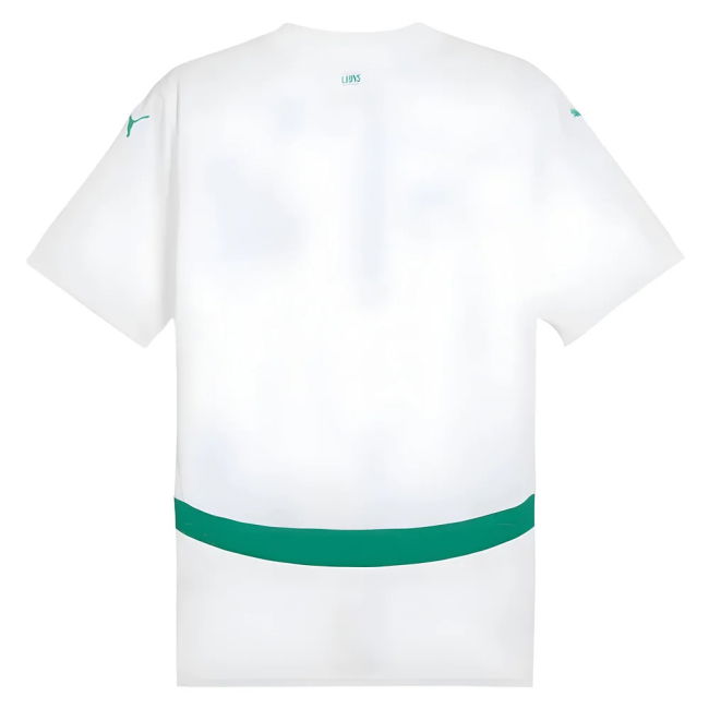 Performance-Driven Fan-Favorite 2024-2025 Senegal Home Shirt