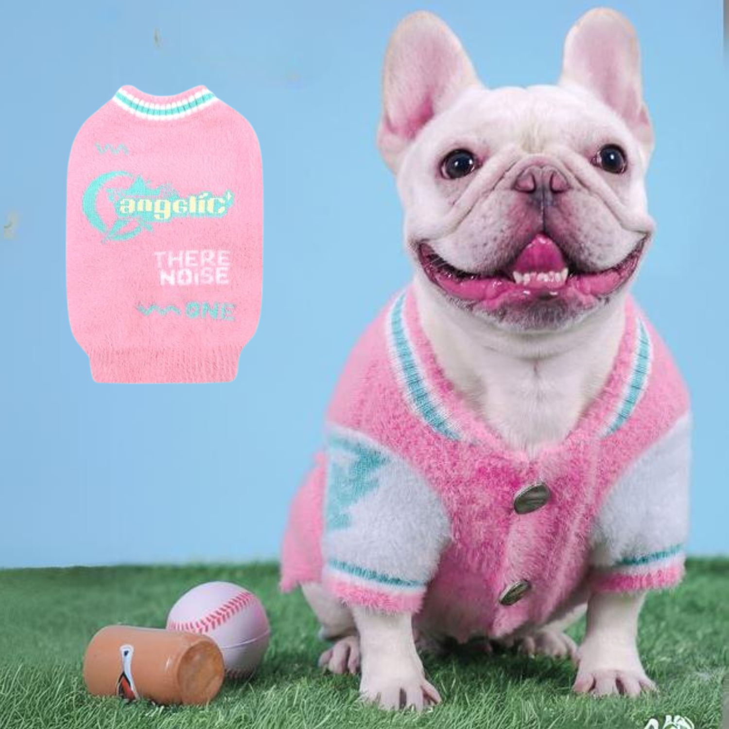 And Pink Plush Varsity Style For Small Dogs Indoor Comfort | Comfy Fit