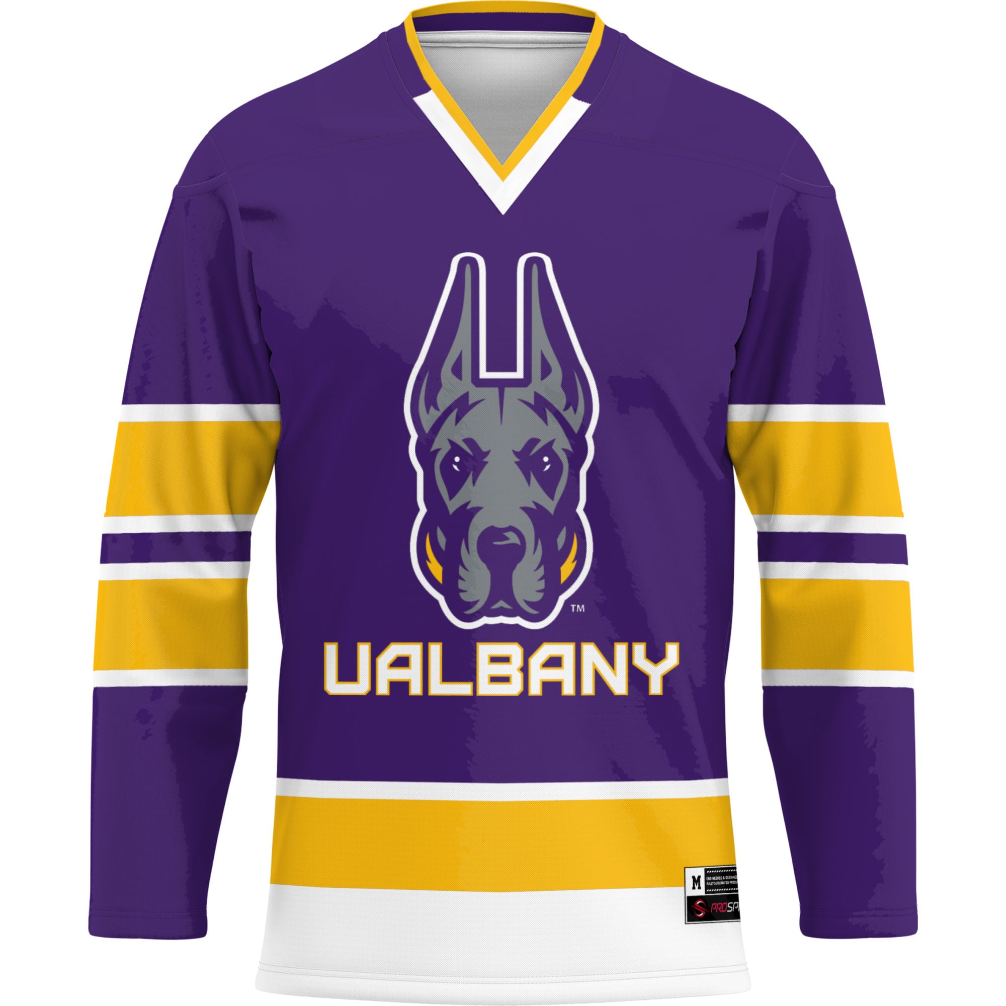 [DDG] UAlbany Great Danes GameDay Greats Youth Hockey Jersey - Purple