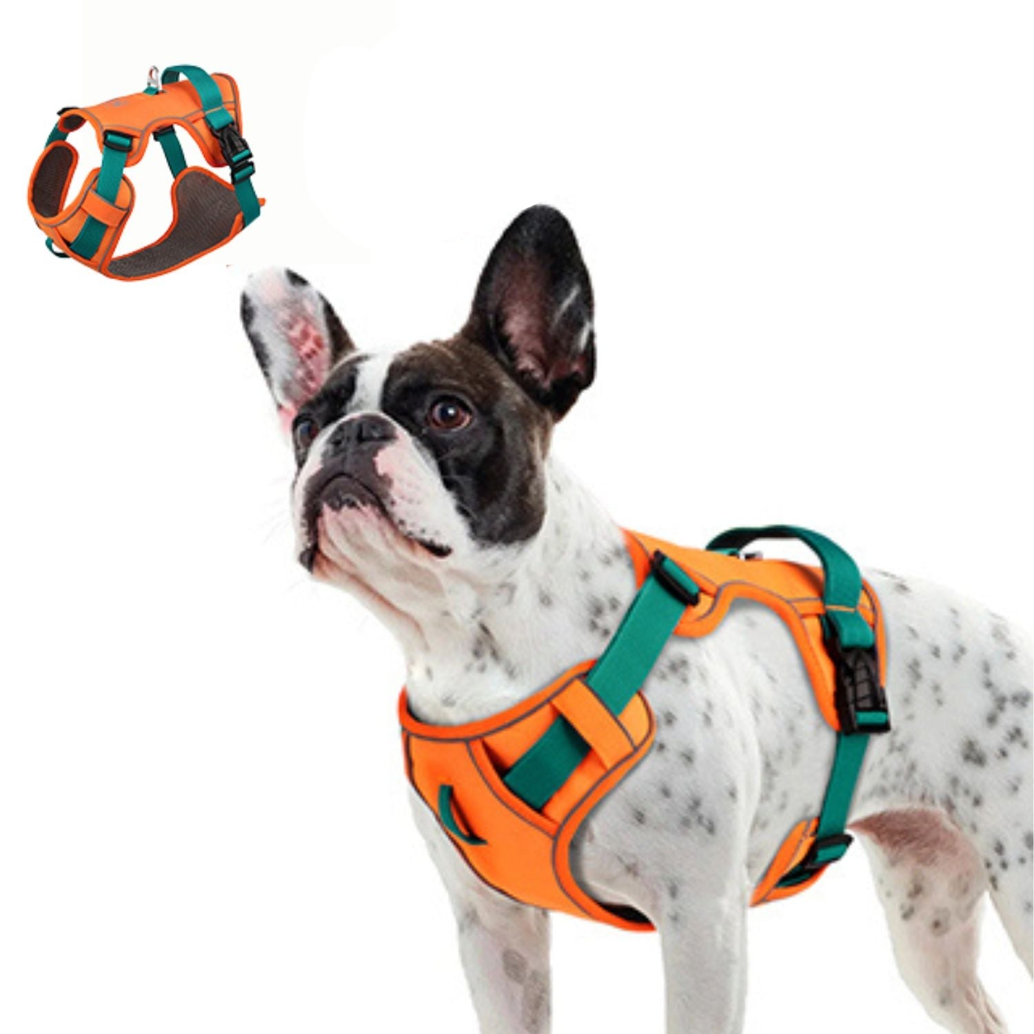 GlowSafe No Pull Frenchie Harness Reflective Training Vest