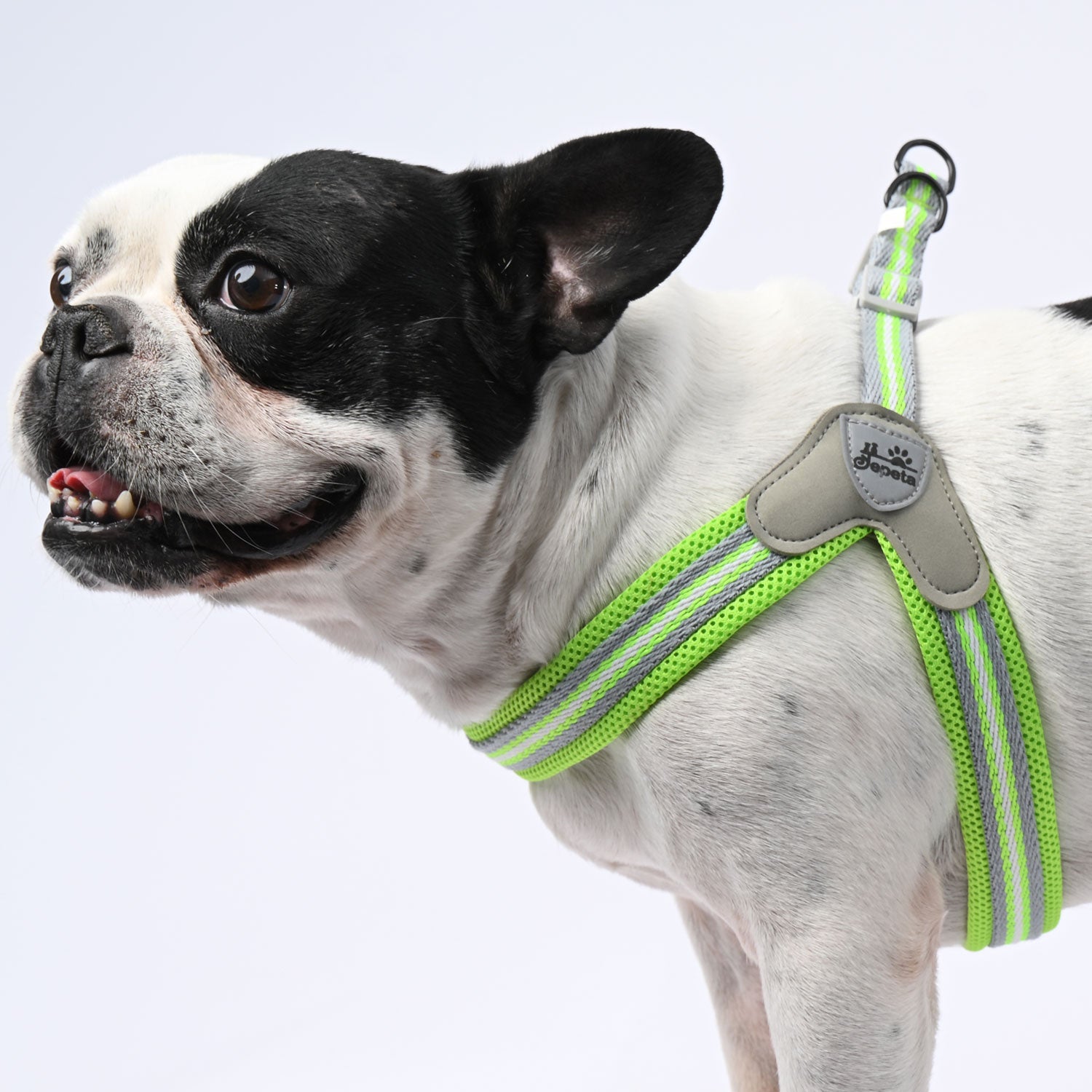 Durable Pawgrip No-pull Frenchie Harness With Leash for Indoor Use