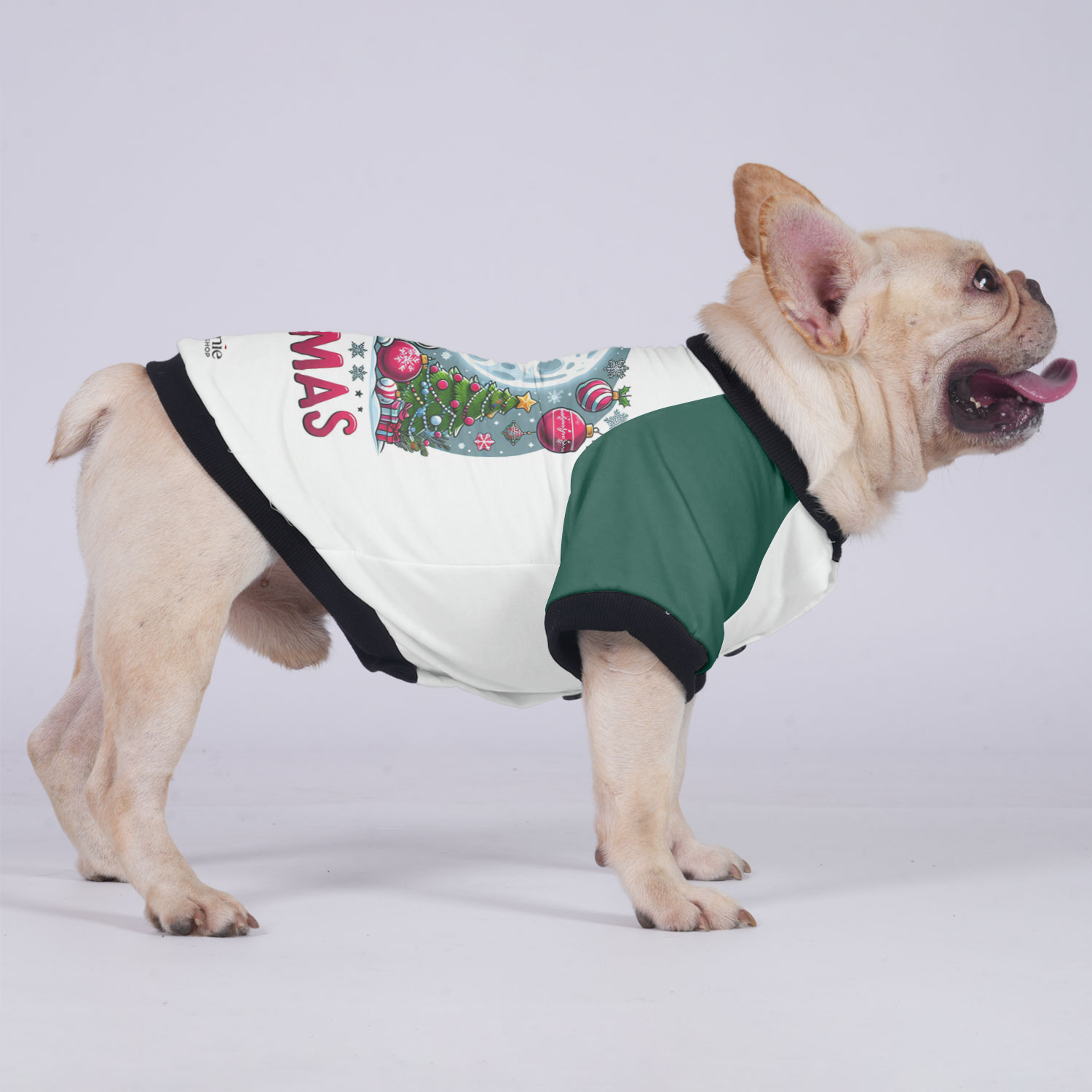 Stylish Durable Sadie - Jacket For French Bulldog as a Gift Comfortable