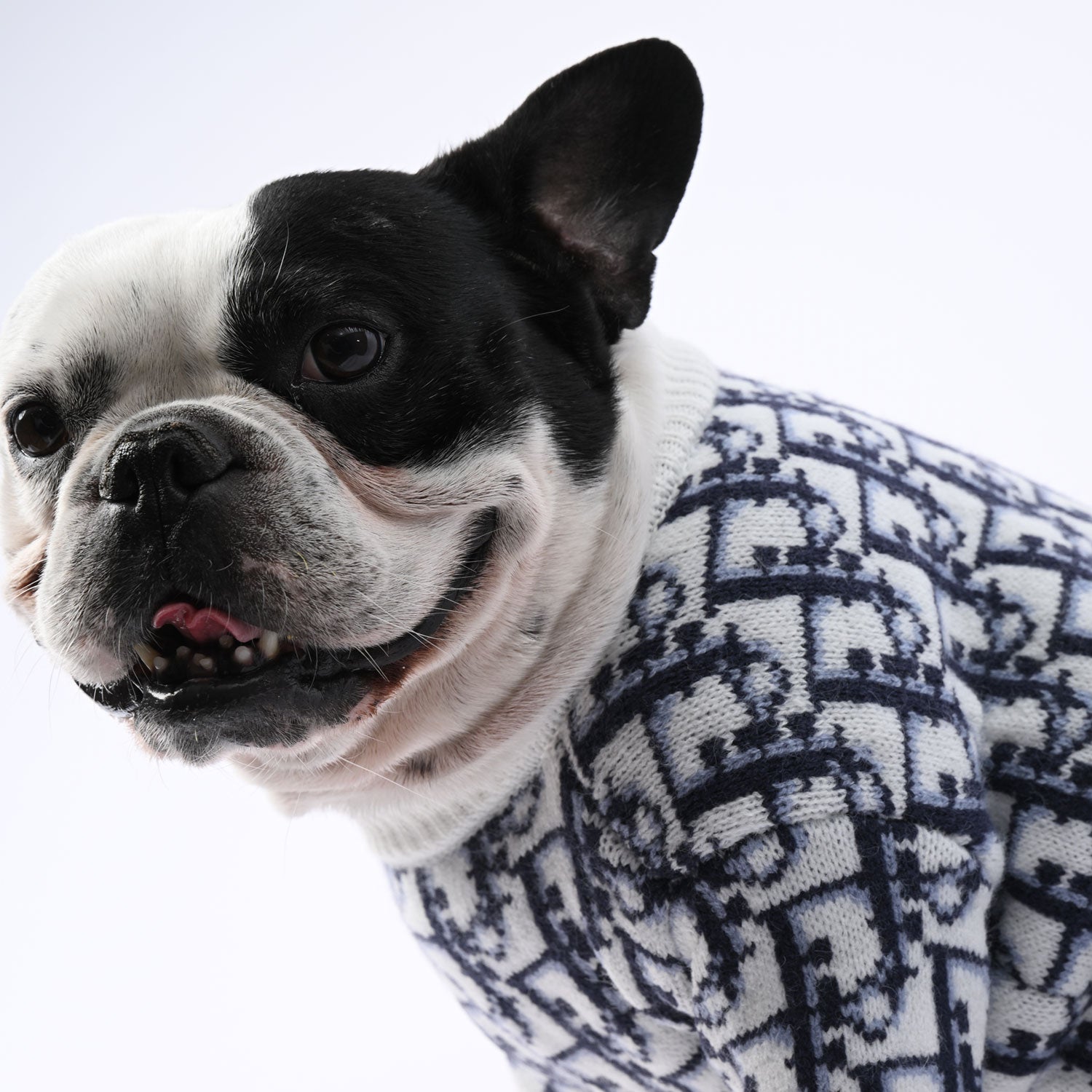 Lover Frenchie Fashion Winter Sweater Pet Owner Apparel | Comfy Fit