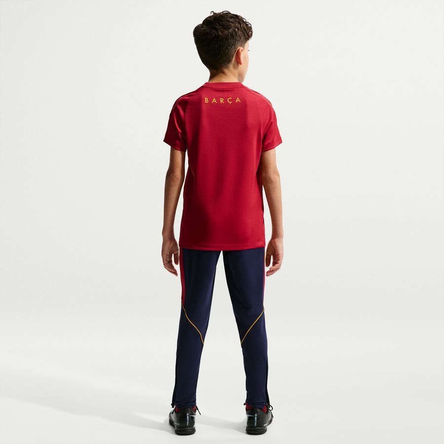 [EFKS] Barcelona Trousers Dri FIT Strike Blackened Blue/Noble Red/Mineral Training