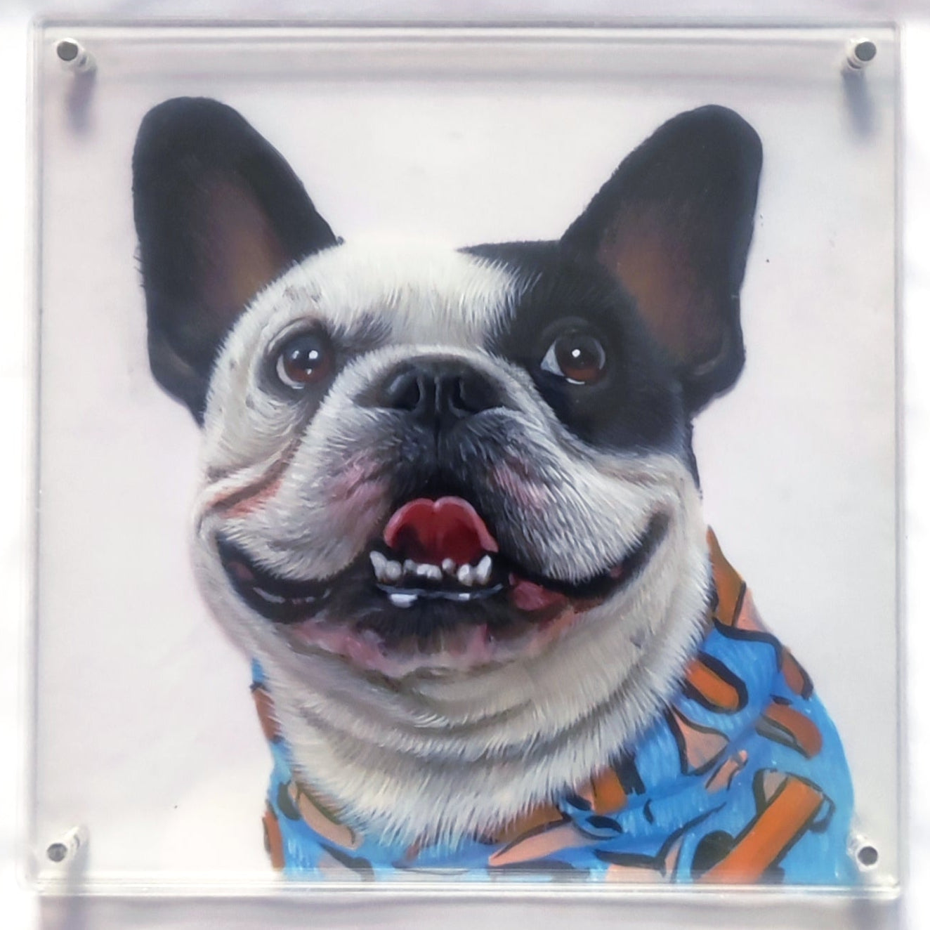 3d Acrylic Glass Art – French Bulldog Lovers Edition Pet Gear