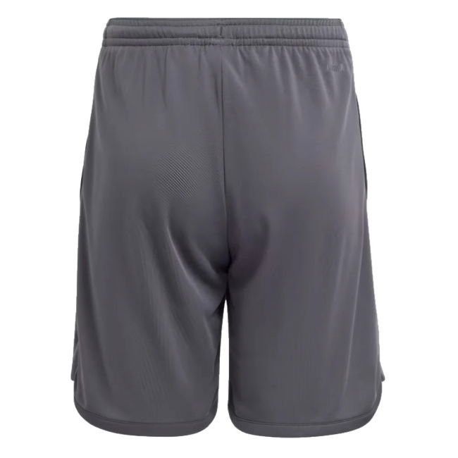 2025-2026 Juventus Third top - moisture-wicking performance wear