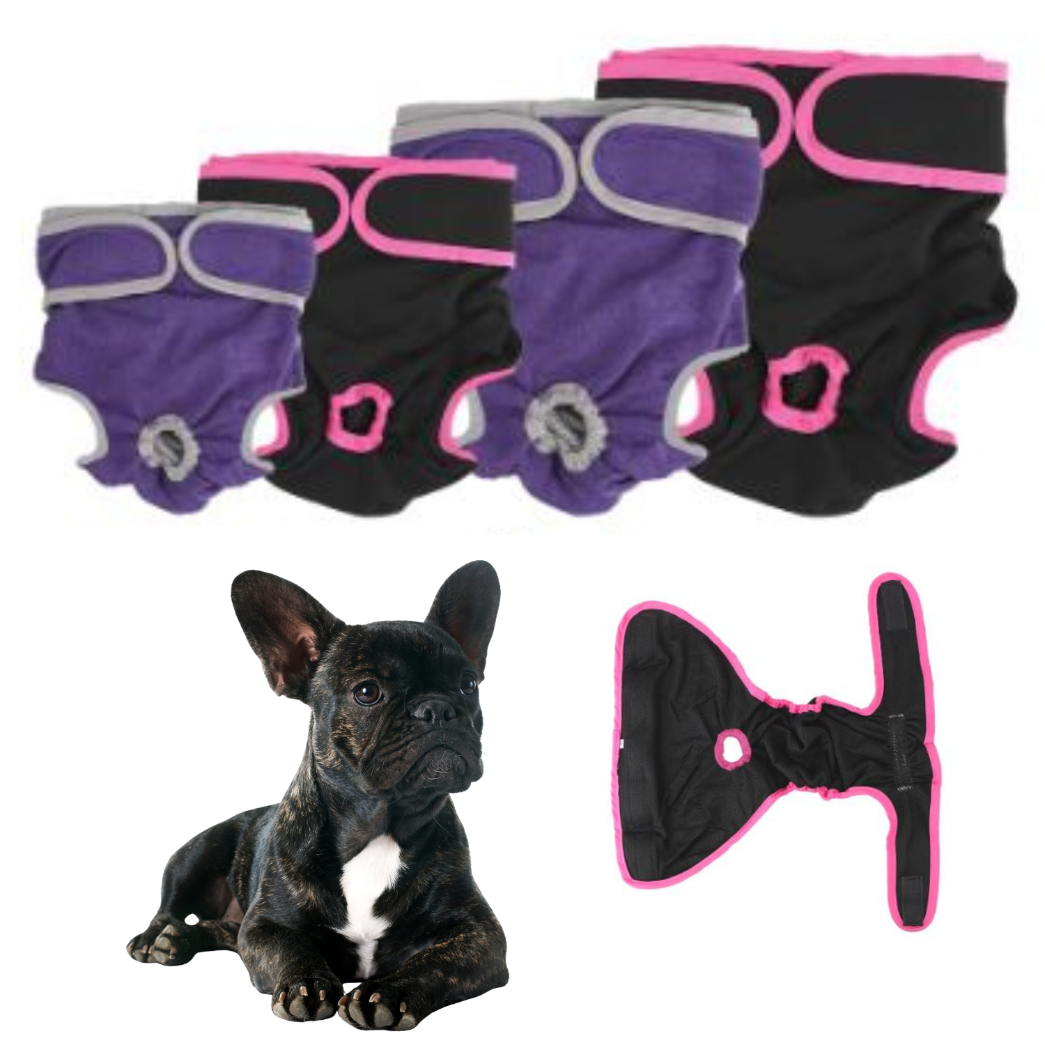 Adjustable French Bulldog Shorts Diaper