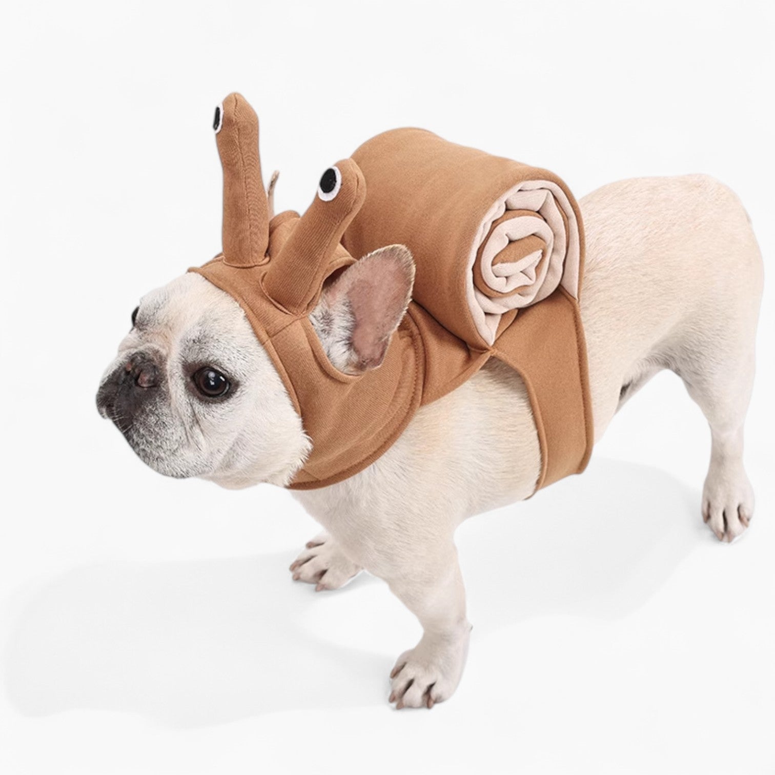 French Bulldog Trailbull Frenchie Snail Costume – Funny Halloween Party