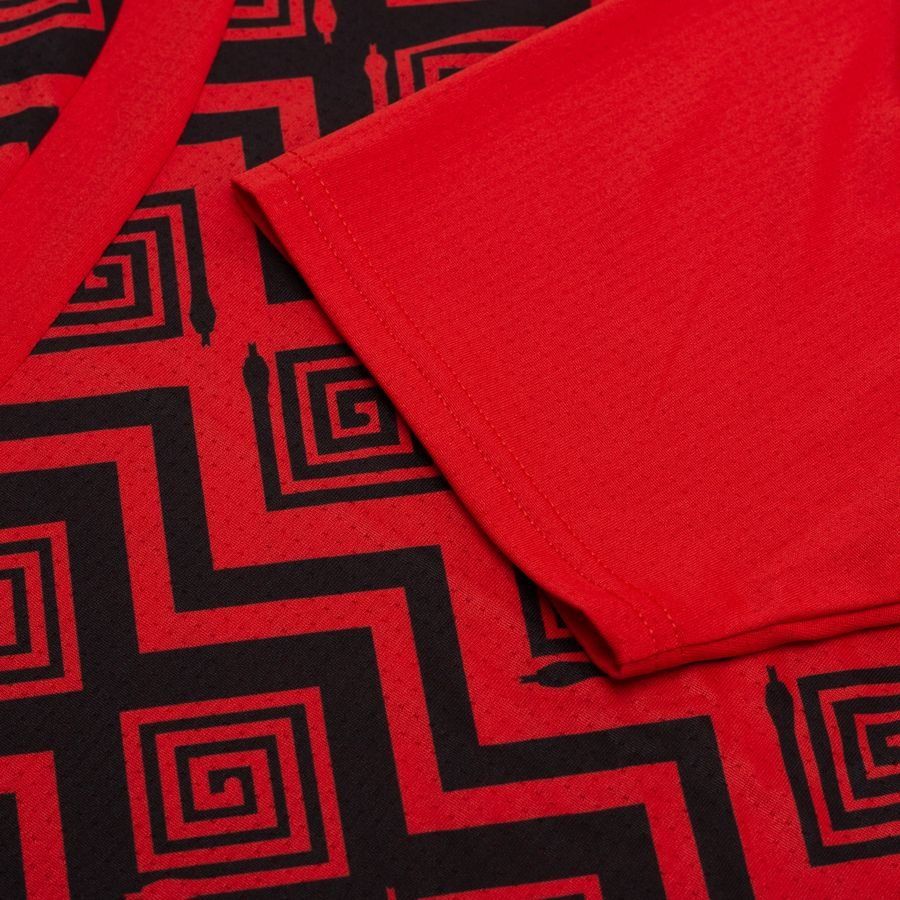 Egypt Training T Shirt Pre Match Africa Cup Of Nations 2025 Puma Red/p