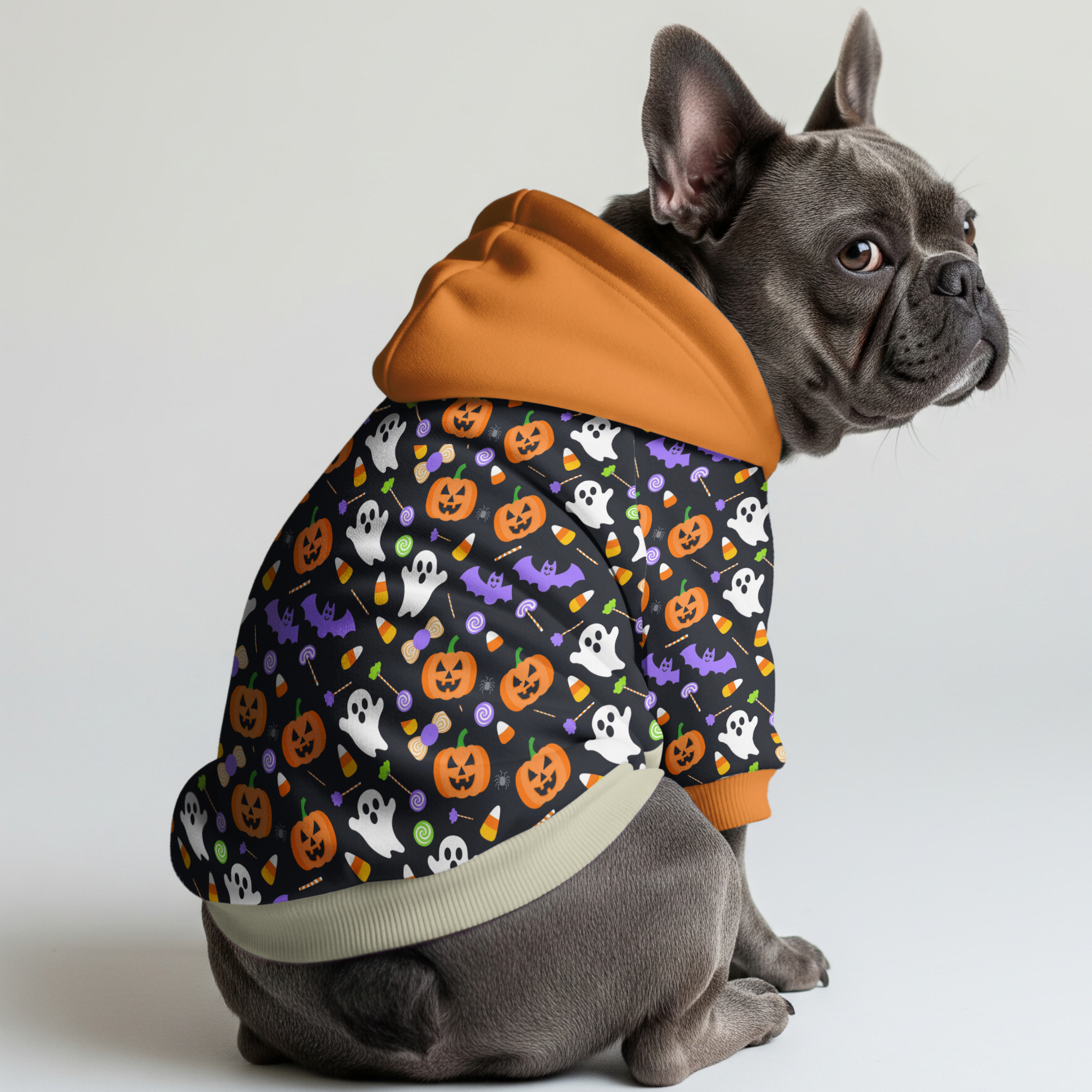 French Bulldog Lily Frenchie Hoodie Cute Frenchie Essential