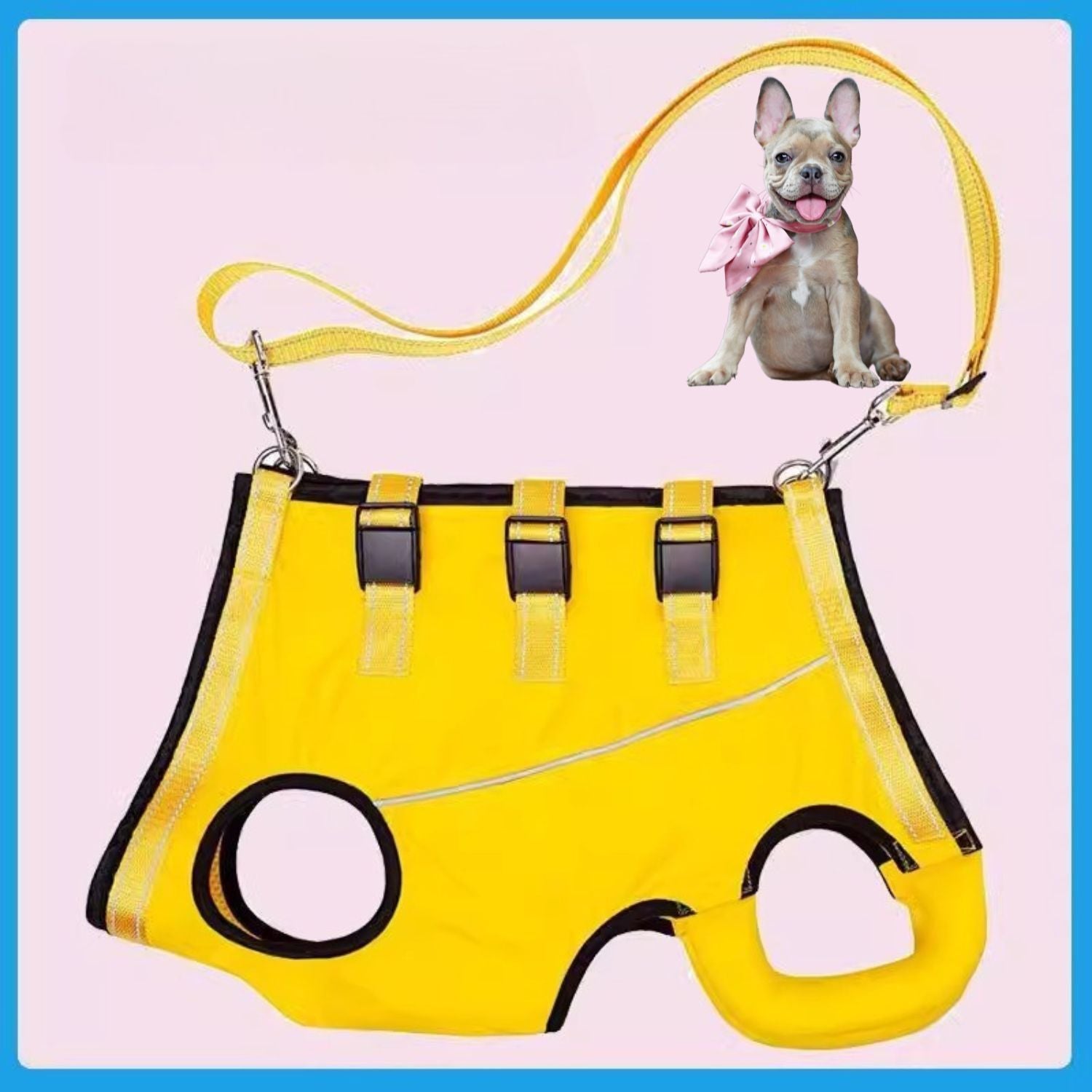 French Bulldog Pawlift Frenchie Full Body Lift Harness – Injury And Hip