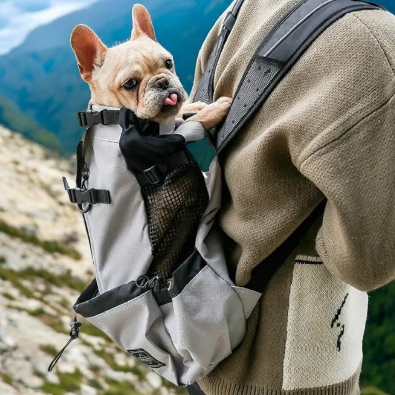 Frenchie Backpack™ [V1] (CS03)