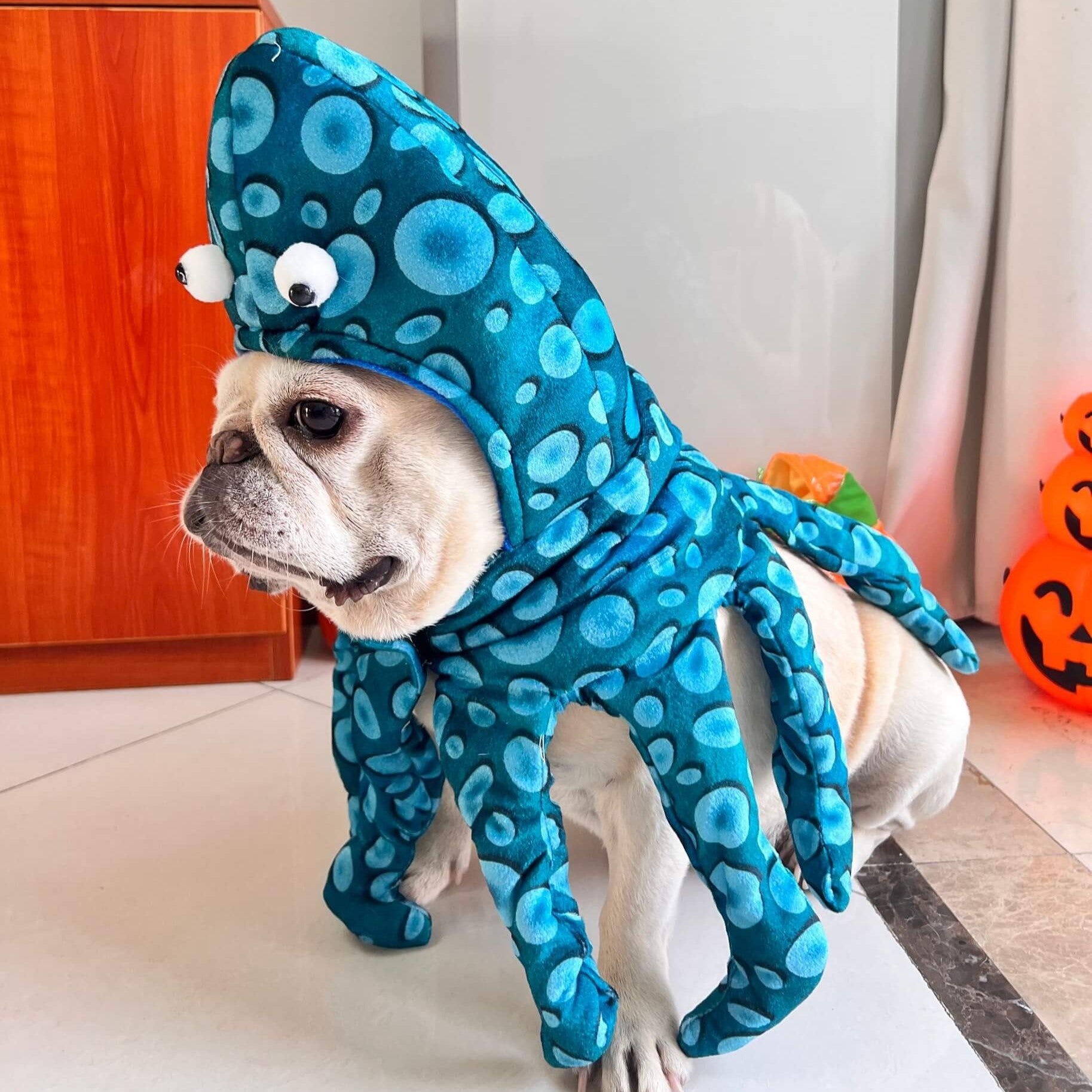 Stylish Octuff Frenchie Octopus Costume – Funny Adjustable Halloween ...