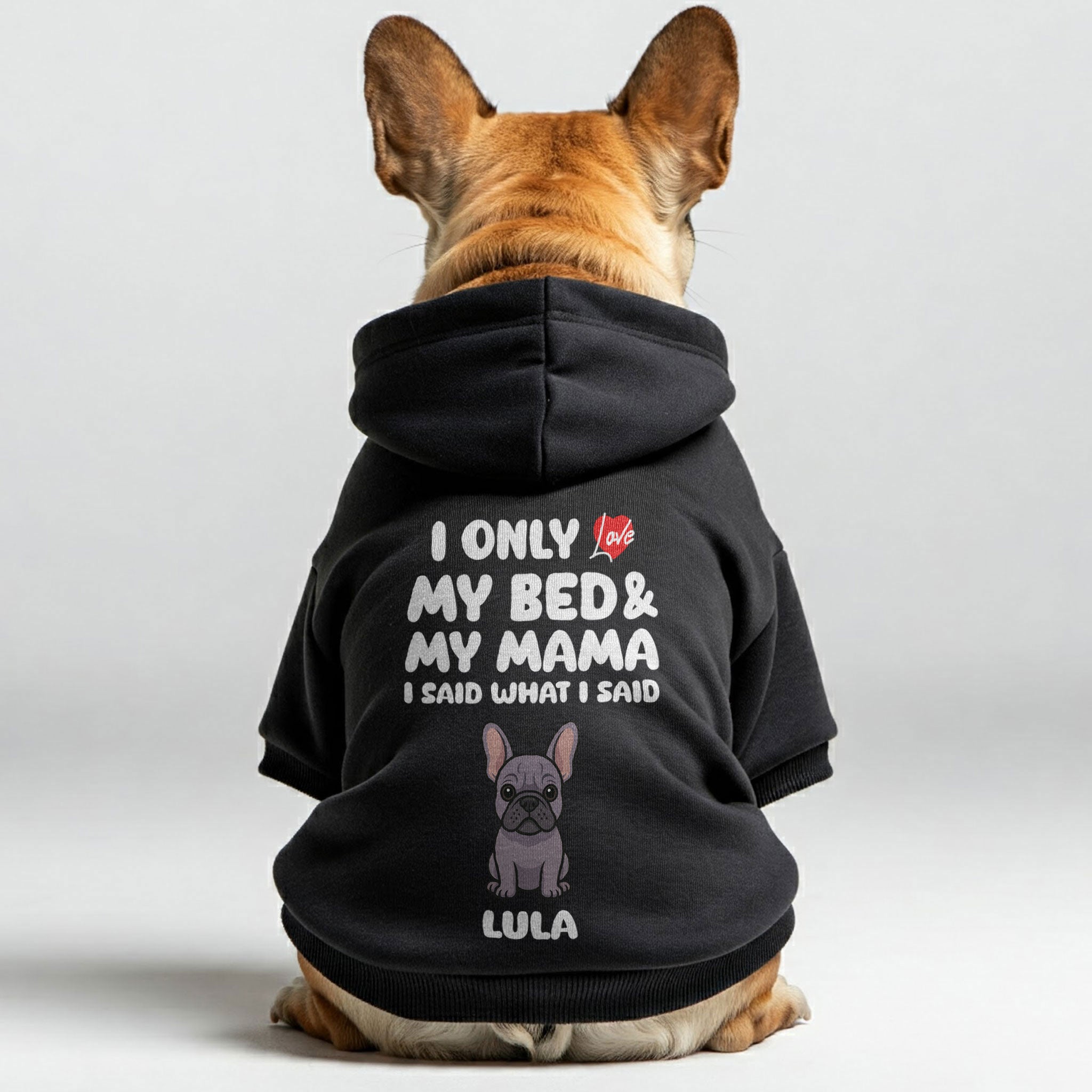 I Only Love - Frenchie Lover Personalized French Bulldog Hoodies With Funny Quotes, Custom Name, 'mama' Or 'dada' Text, And Custom Clipart Matching Your Frenchie's Color – Stylish, Cozy, And Premium 100% Cotton Casual Wear
